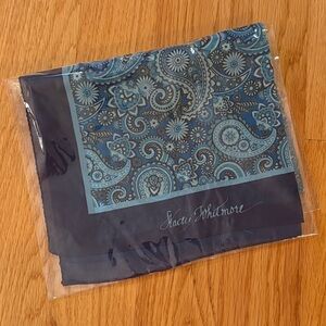 Stacey Whitmore Blue Paisley Scarf